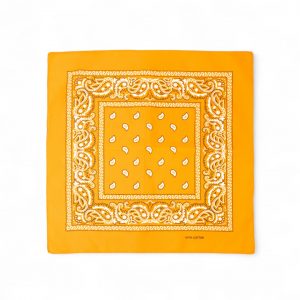 bandana-halstuch-orange-paisley-55-cm-x-55-cm-279846-art3743-Photoroom.jpg