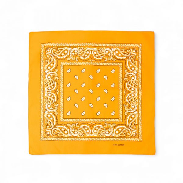 bandana-halstuch-orange-paisley-55-cm-x-55-cm-279846-art3743-Photoroom.jpg