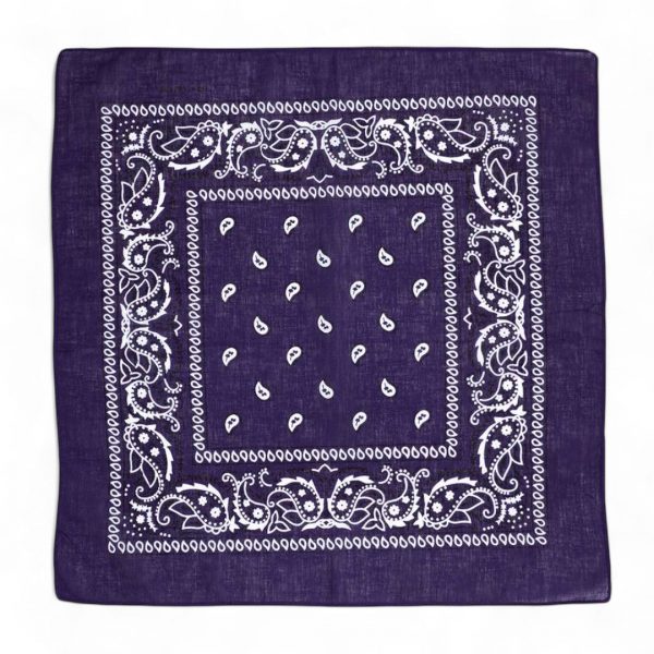 bandana-halstuch-flieder-lila-paisley-55-cm-x-55-cm-231182-10221-Photoroom.jpg