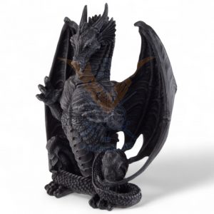 aufgerichteter_schwarzer_drache_mit_offenen_47034-Photoroom.jpg