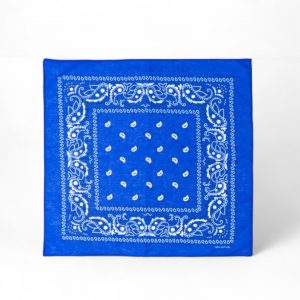 bandana-halstuch-blau-paisley-55-cm-x-55-cm-280294-art3741_600x600-Photoroom.jpg